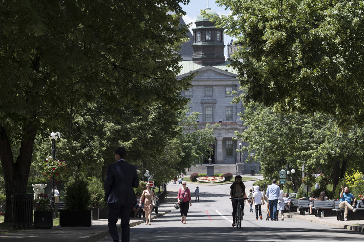 The McGill University campus is seen in June, 2016. 