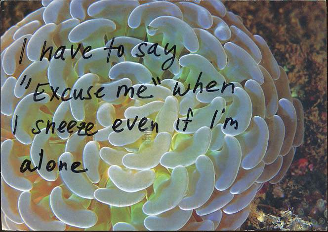 PostSecret has become an internet sensation since its inception in 2004.
