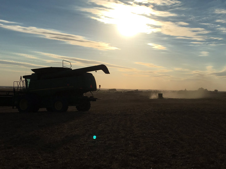 Sept. 1: This Your Saskatchewan photo of harvest in full swing was taken by Phil Heilman in the Wilkie area.