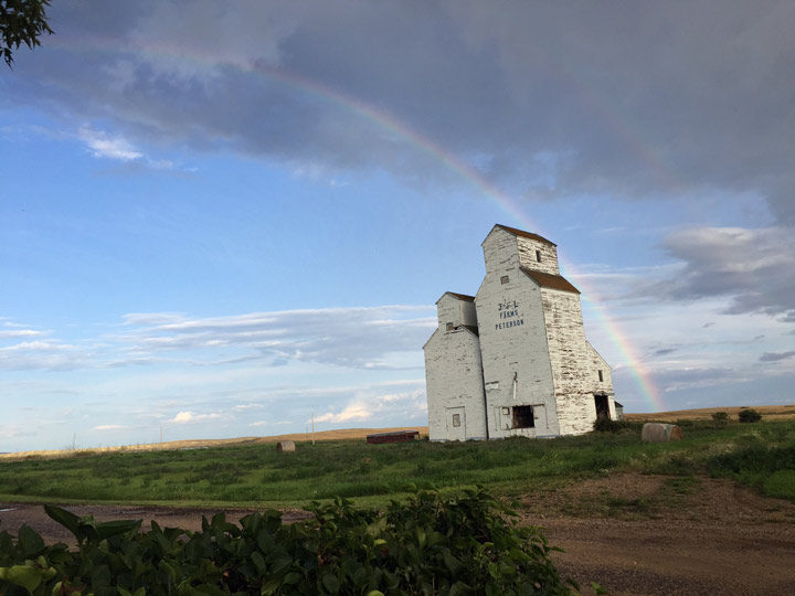 Sept. 8: Alesia Hafner took this Your Saskatchewan photo at Peterson.