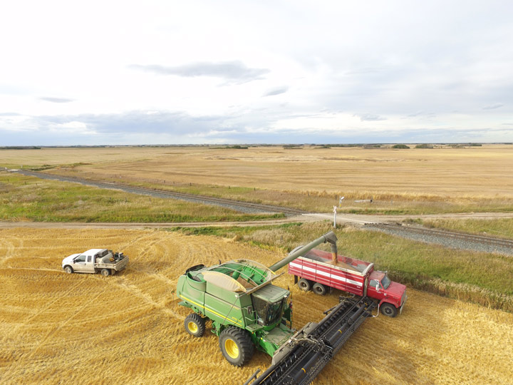 Sept. 30: This Your Saskatchewan photo was taken by Melanie Lehnert at Landis.