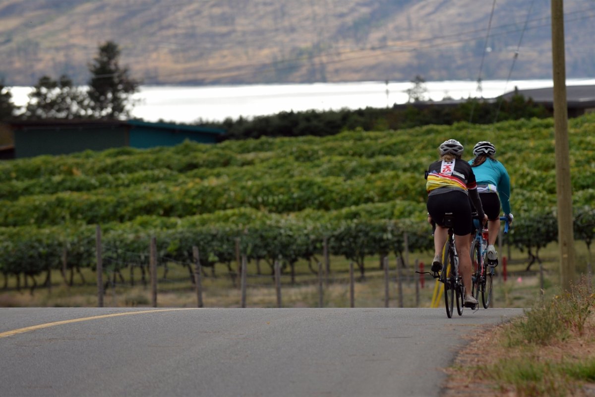 Okanagan Grape Escape tour rolls out this weekend - image
