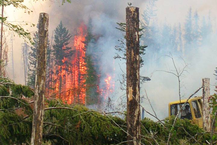 Large prescribed burn near Big White - image