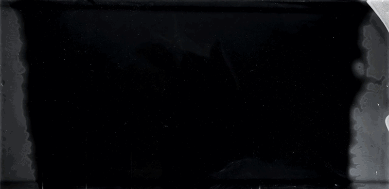 Credit: Harvard Medical School