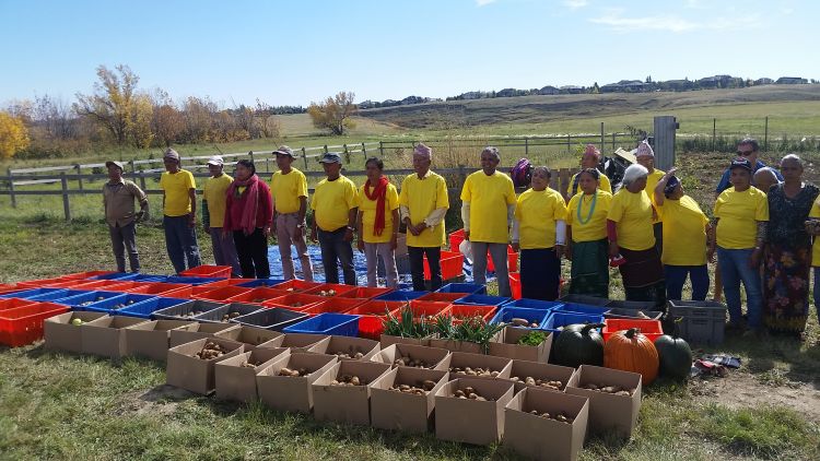 The Lethbridge Bhutanese Seniors Group showed off their bountiful harvest of fresh produce, and donated it back to local food banks. 