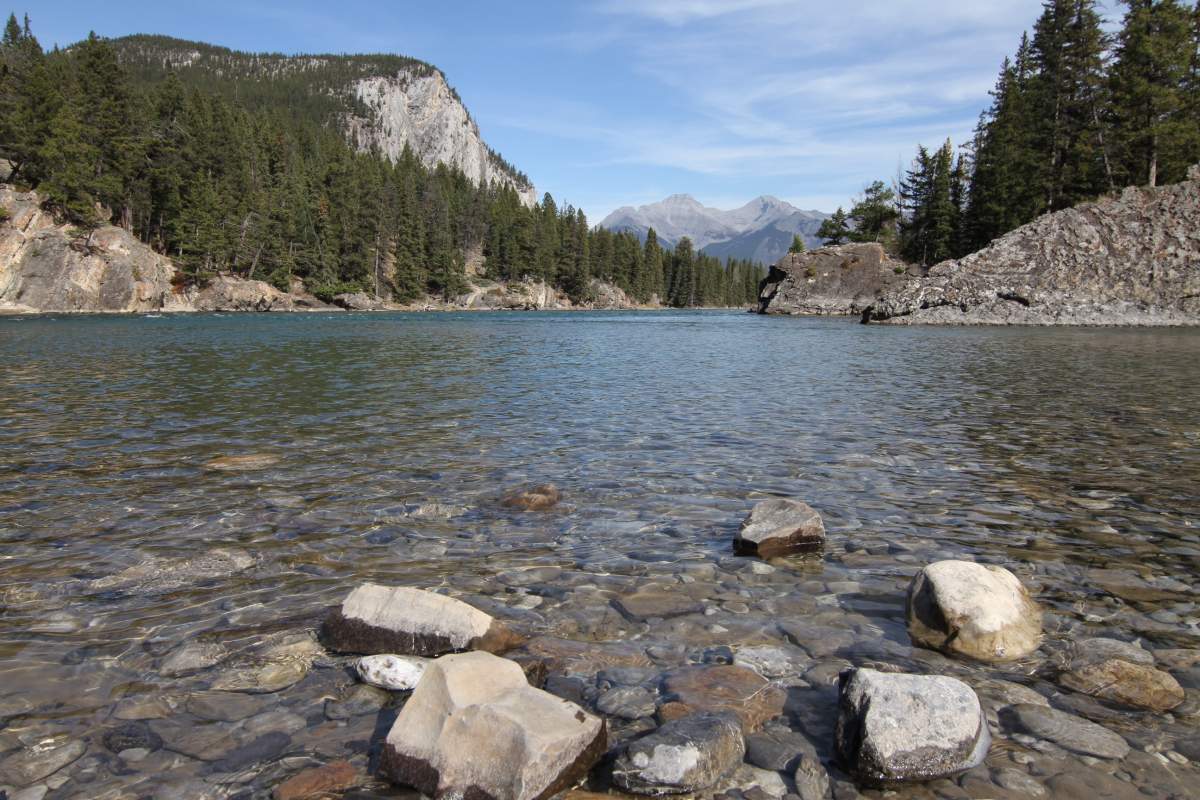 Bow River by Tunnel Mountain.