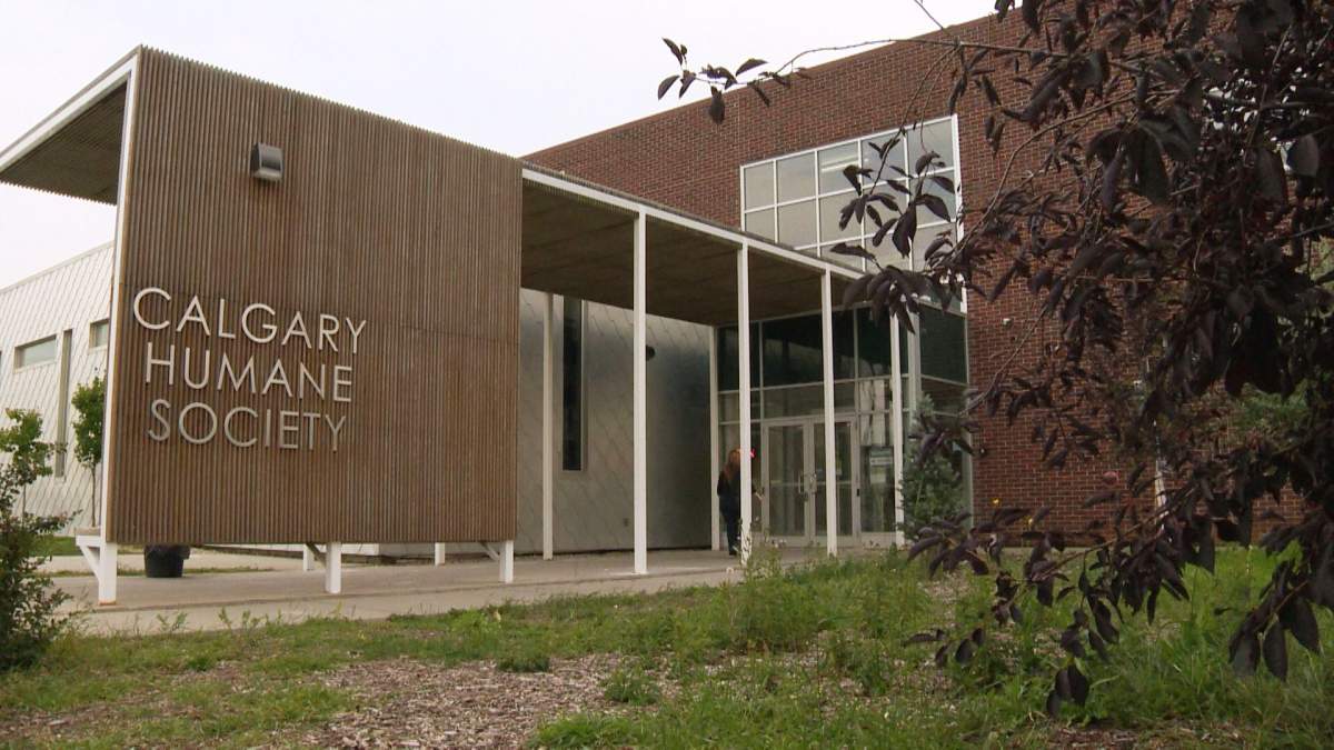 The Calgary Humane Society is closed until further notice due to a Parvovirus outbreak.