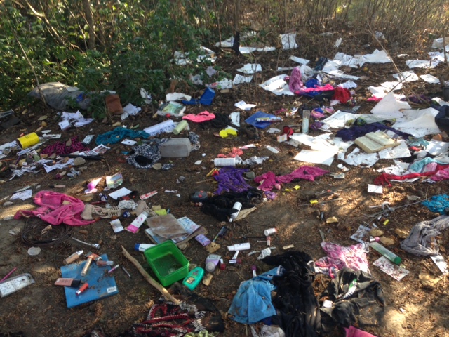 Chilliwack parents taking action to clean up school grounds near homeless camp - image