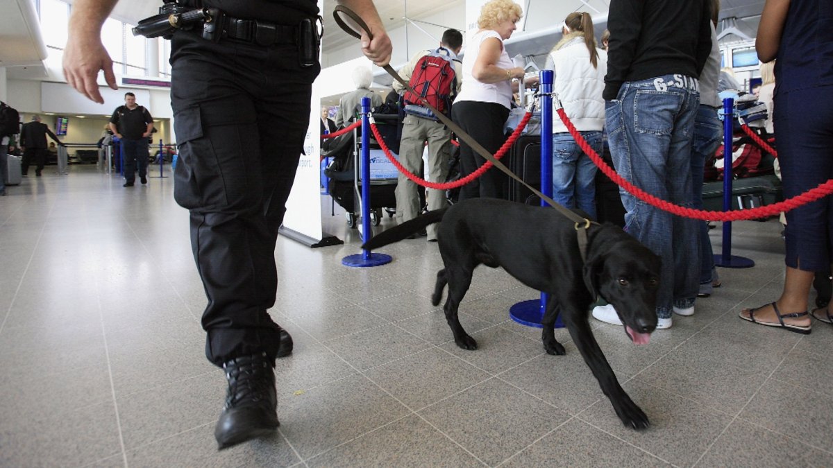 what do dogs sniff for at the airport