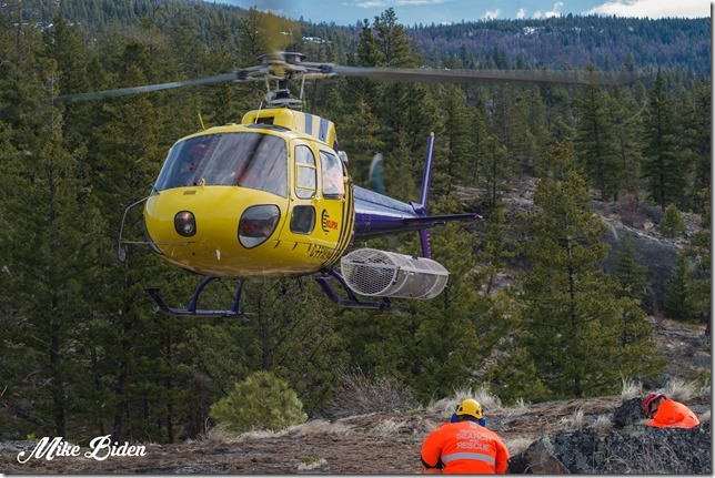 Whistle blower rescued by PENSAR - image