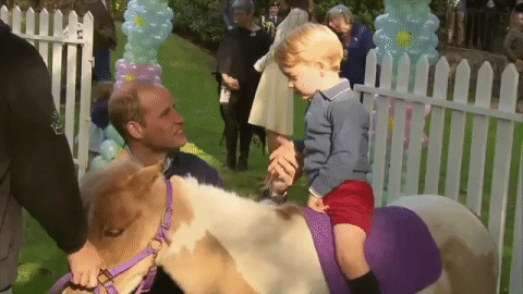 Royal Visit 2016: Cutest moments from Prince George, Princess Charlotte at B.C. party - image