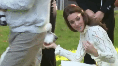 Princess Charlotte meets Moose the therapy dog