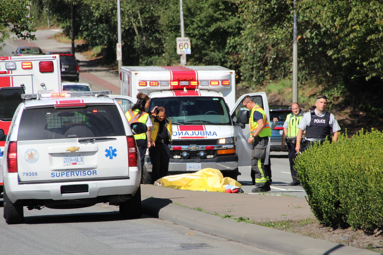 Collision In Surrey Kills One Pedestrian | Globalnews.ca