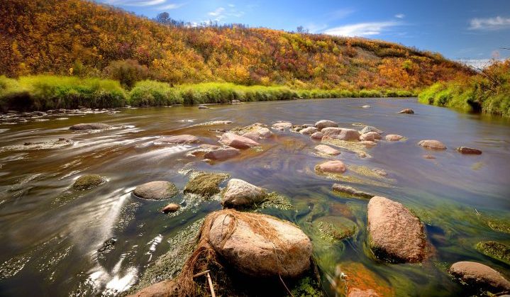 This photo was taken along the Wascana Trails in 2016.