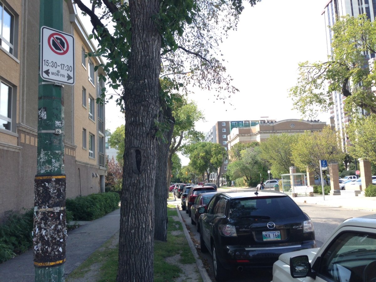 A report at Winnipeg city hall recommends scaling back on loading zones in Osborne Village to free up more parking spaces.