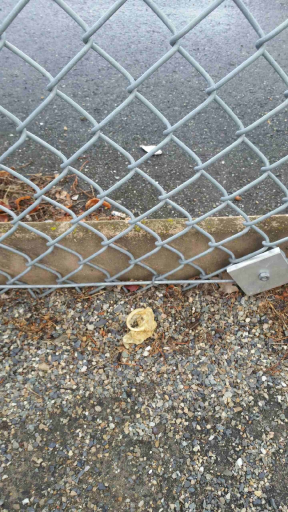 Chilliwack school field littered with needles and condoms - image
