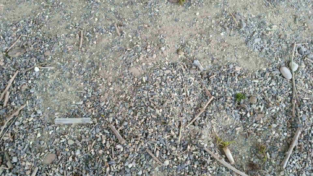 Chilliwack school field littered with needles and condoms - image