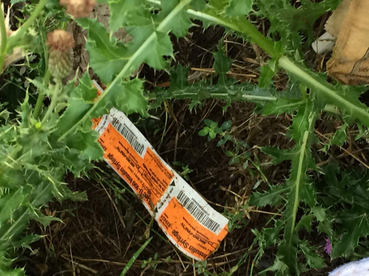 Chilliwack school field littered with needles and condoms - image