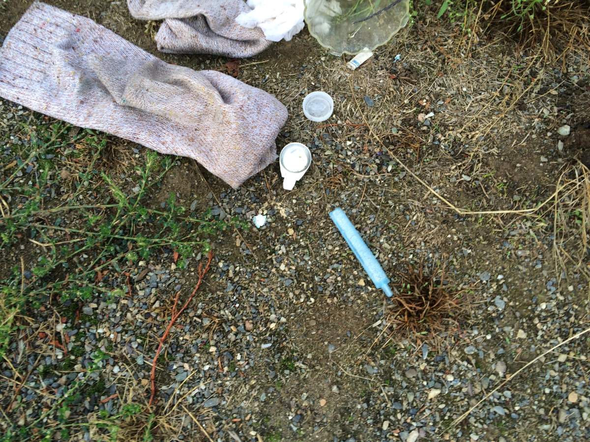 Chilliwack school field littered with needles and condoms - image