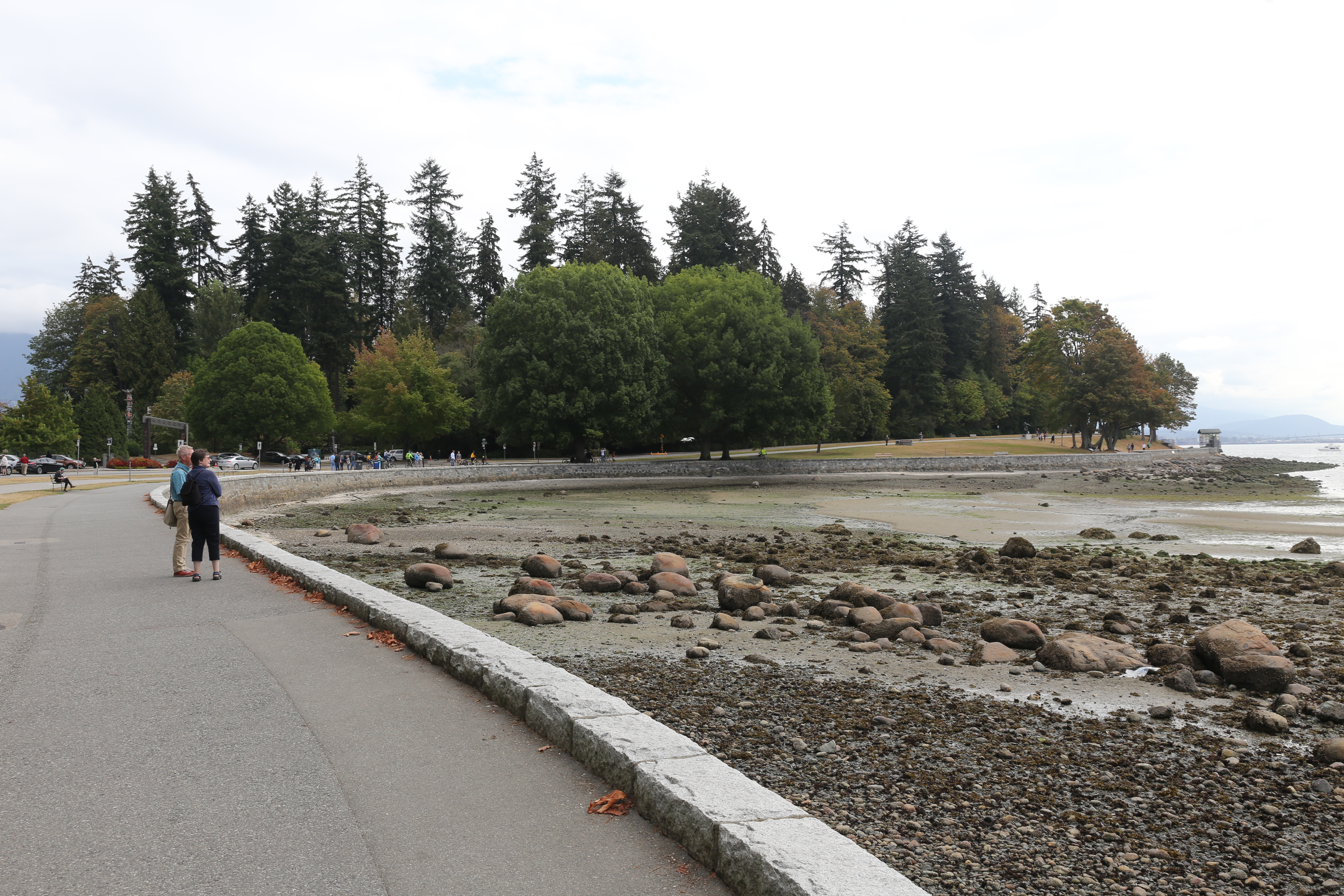 Туристически посещаващ от Торонто беше нападнат на случаен принцип докато