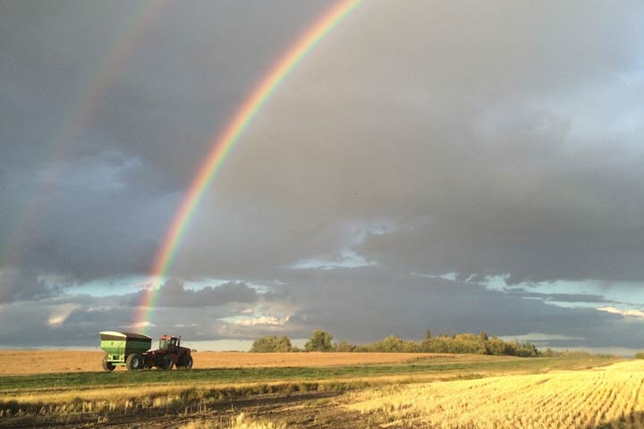 Sept. 13: This Your Saskatchewan photo was taken by Marilyn Yasieniuk near Lilac.