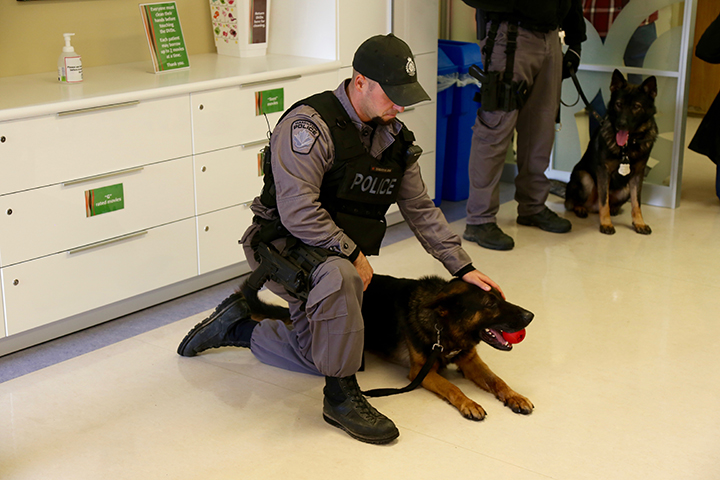 Const. Johnny Sabatini and police service dog Maverick are seen in this December 2015 photo visiting patients at the McMaster Children’s Hospital in Hamilton, Ont.