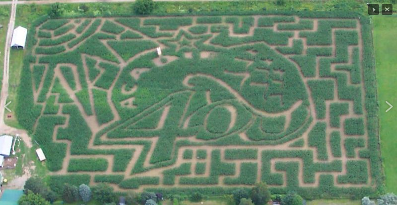 Jose Bautista's epic postseason bat flip inspired a corn maze