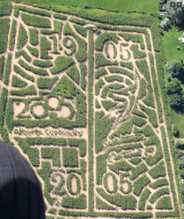 New Brunswick corn maze latest celebration of iconic Jose Bautista bat flip Globalnews.ca