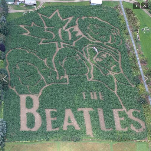 Jose Bautista's epic postseason bat flip inspired a corn maze