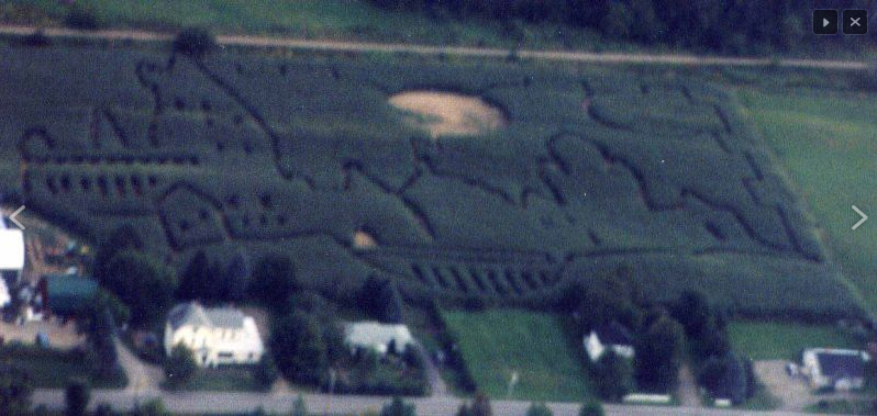 LOOK: Jose Bautista bat-flip corn maze? Yep, Jose Bautista bat-flip corn  maze