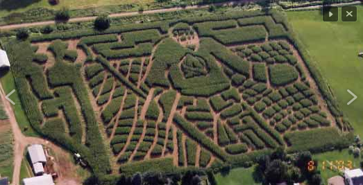 LOOK: Jose Bautista bat-flip corn maze? Yep, Jose Bautista bat