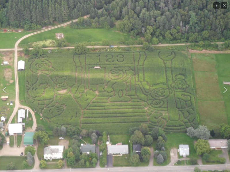 Jose Bautista's epic postseason bat flip inspired a corn maze