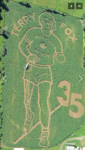 LOOK: Jose Bautista bat-flip corn maze? Yep, Jose Bautista bat-flip corn  maze