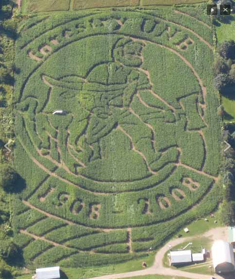 LOOK: Jose Bautista bat-flip corn maze? Yep, Jose Bautista bat-flip corn  maze