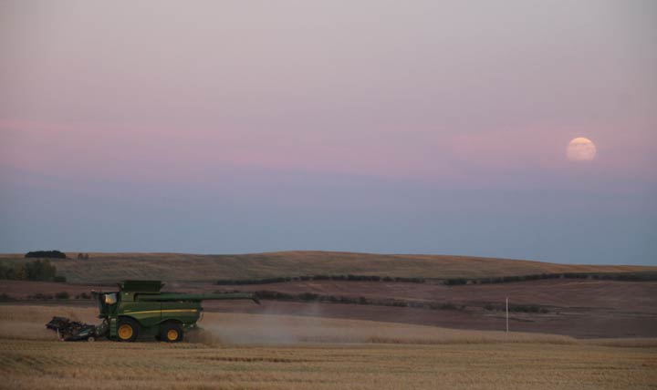 Sept. 20: This Your Saskatchewan photo was taken by Natalie Braun near Beechy.
