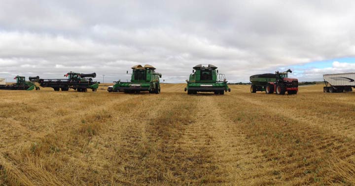 Sept. 27: This Your Saskatchewan photo was taken by Susan Detillieux near Meacham.