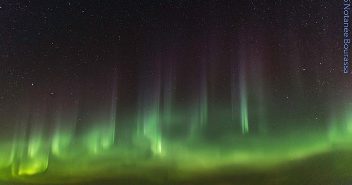 Sask. northern lights almost max category index: aurora expert  | Globalnews.ca