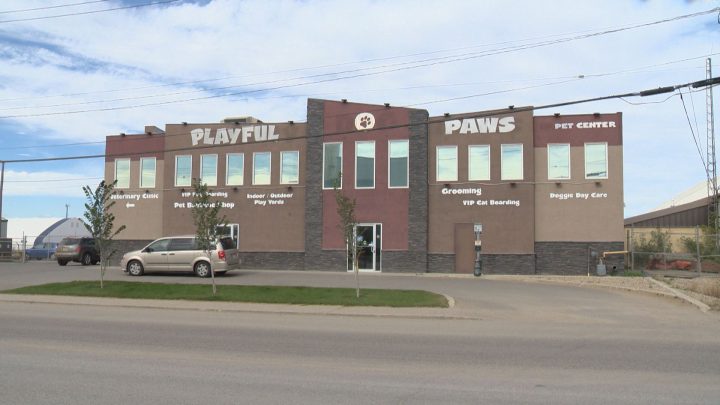 Playful Paws Pet Center