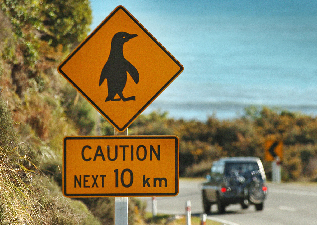 Beware penguins crossing road sign on the Western Route 6 Coast Road north of Punakiki.