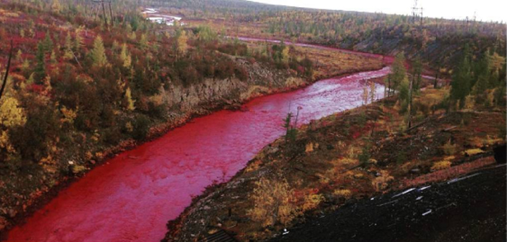 Russian River Startles Locals After Turning Blood Red National   Russian Red River 