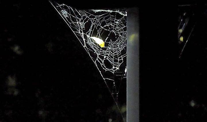 Sept. 15: This Your Saskatchewan photo was taken by James Laliberte in Saskatoon.