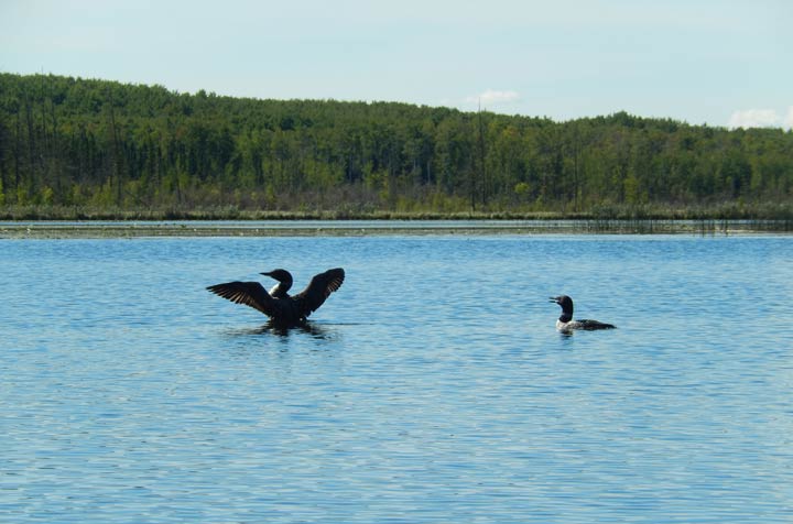 Sept. 3: This Your Saskatchewan photo was taken by Sandra Traill at Meadow Lake Provincial Park.