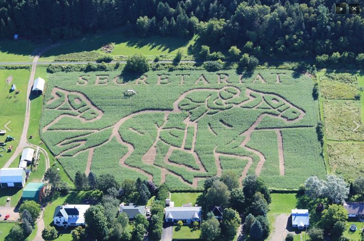 LOOK: Jose Bautista bat-flip corn maze? Yep, Jose Bautista bat-flip corn  maze