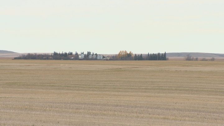 Saskatoon security company experiences surge in response to rural crime - image