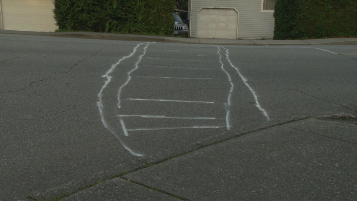 A Port Coquitlam man took matters into his own hands and painted a crosswalk at a busy intersection.