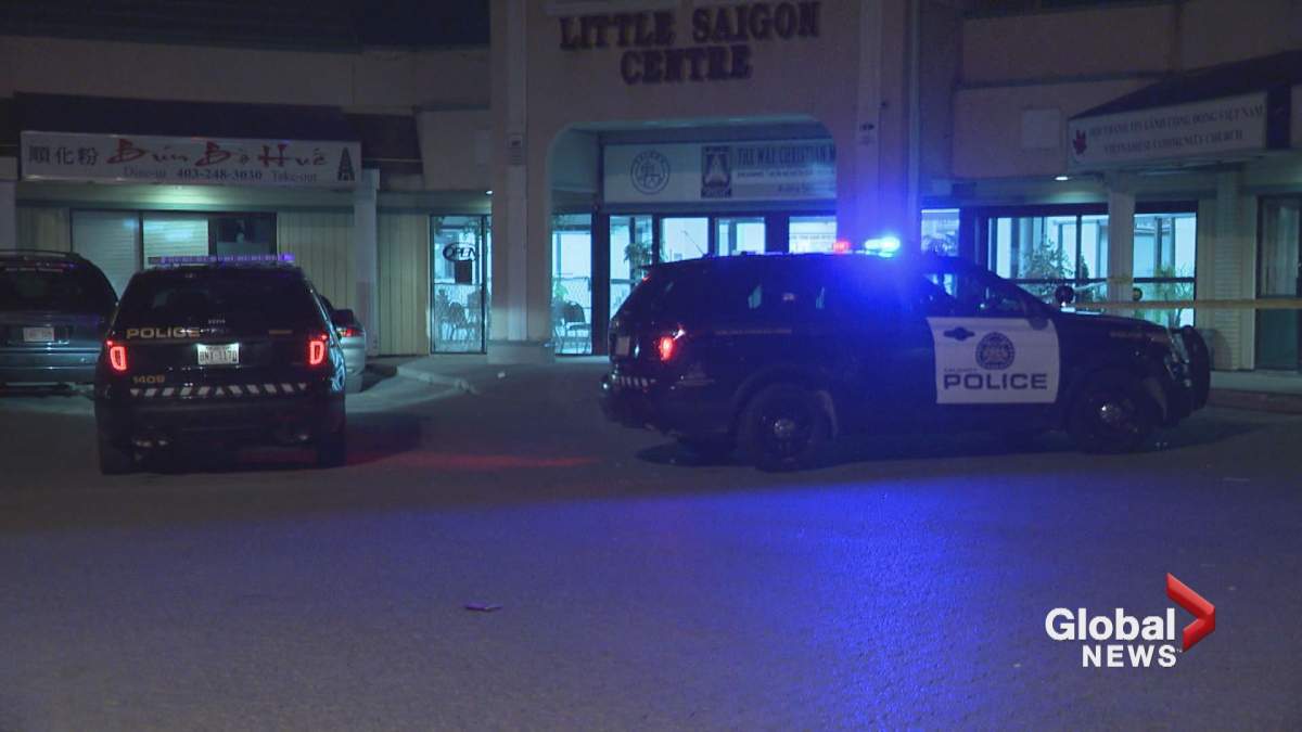 Calgary police investigate potential stabbing in southeast Calgary ...