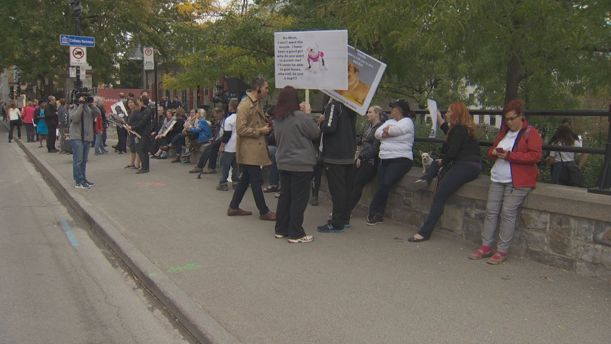 Advocates protested outside Montreal City Hall on Monday night. 