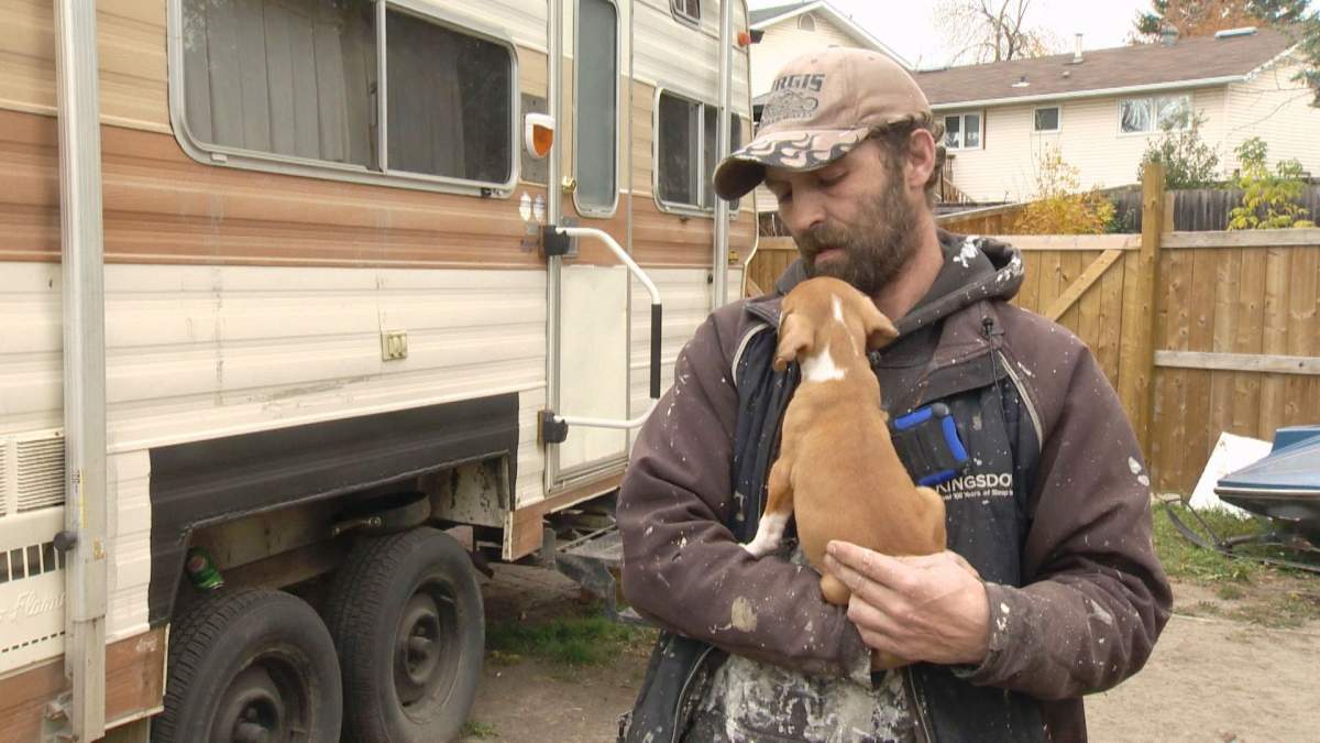 Robin McLaren holds a pit bull puppy left behind by thieves who stole the rest of the litter on Tuesday, Sept. 27, 2016.
