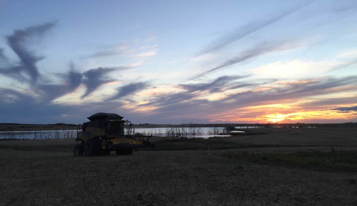 Sept. 18: This Your Saskatchewan photo was taken by Janelle Lawrence near Bruno.