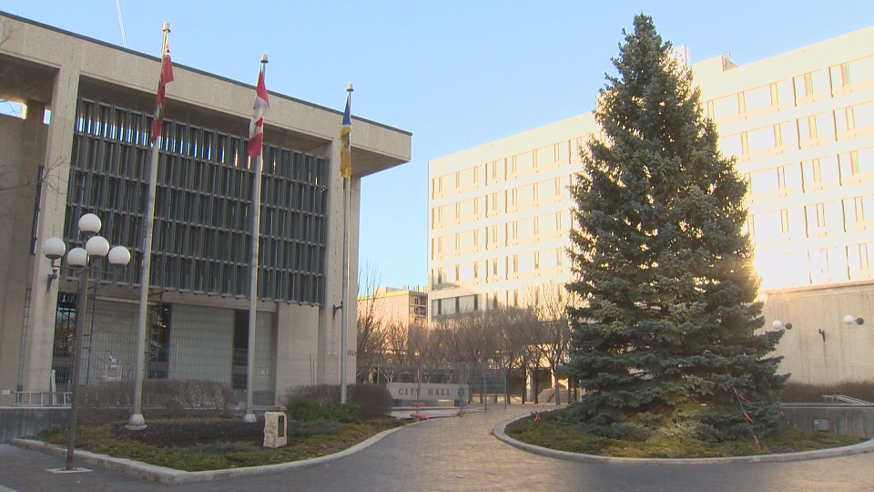 City Hall features a locally-donated tree every holiday season.
